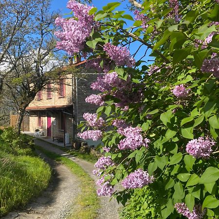 La Lupa E L'Orso Bed & Breakfast Berceto Exterior foto