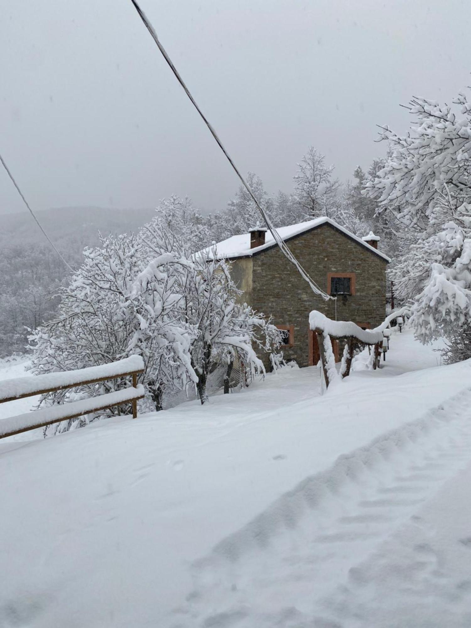 La Lupa E L'Orso Bed & Breakfast Berceto Exterior foto